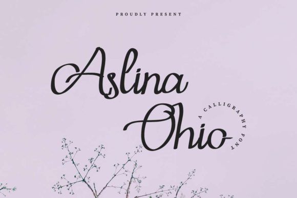 Aslina Ohio Font: Elevating Campaign Visuals with Elegant Flow