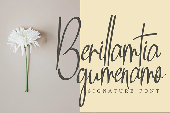 Berillamtia Font: Modern Script for Handmade Products
