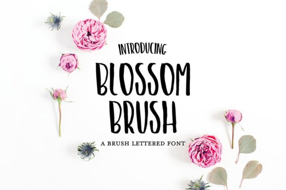 Blossom Brush Font: A Delicate Script for Editorial Design
