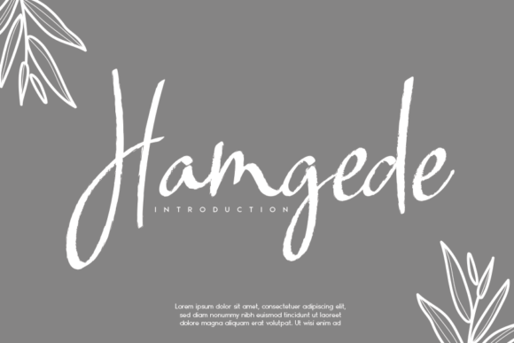 Hamgede Font: Elevating Digital Brand Identity