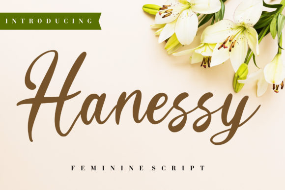 Hanessy Font: Elegant Script Handwritten Style for Makers