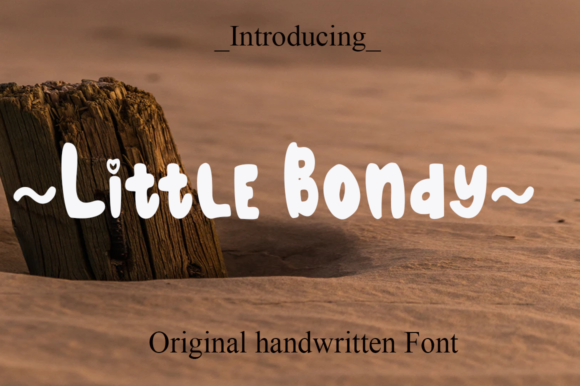 Little Bondy Font for Handmade Products and Labels