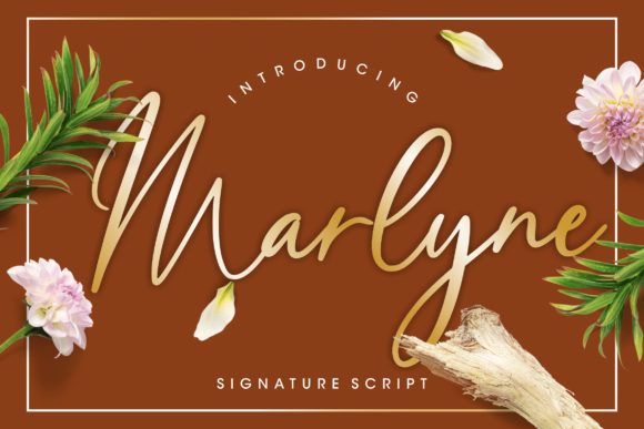 Marlyne Font Review for Handmade Labels and Branding