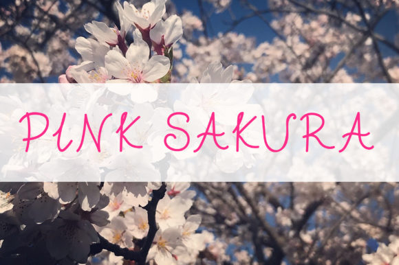 Pink Sakura Font: A Handwritten Typeface for Editorial Design