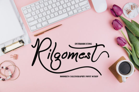 Rilgomest Font: Elegant Script Handwritten Typography for Web Design